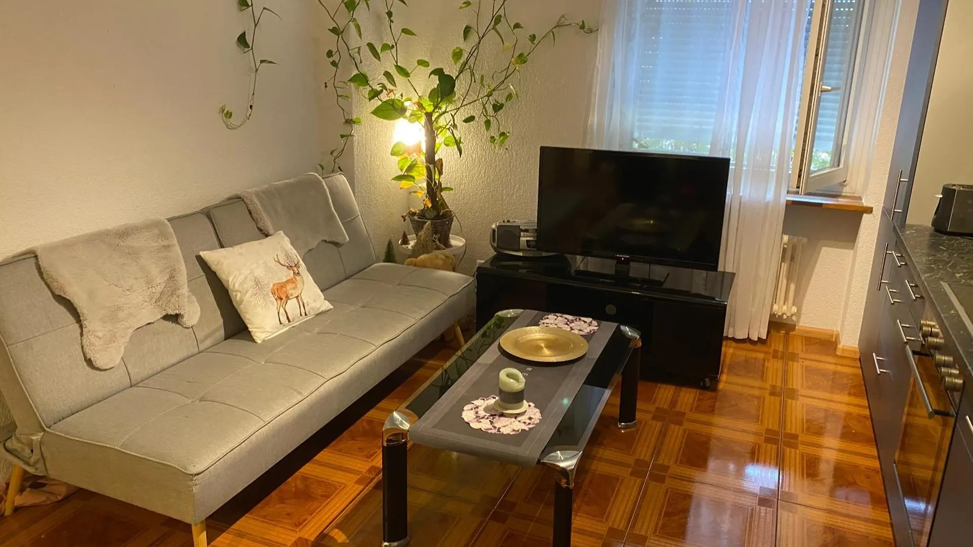 Apartment Базель 0*,  Швейцария
